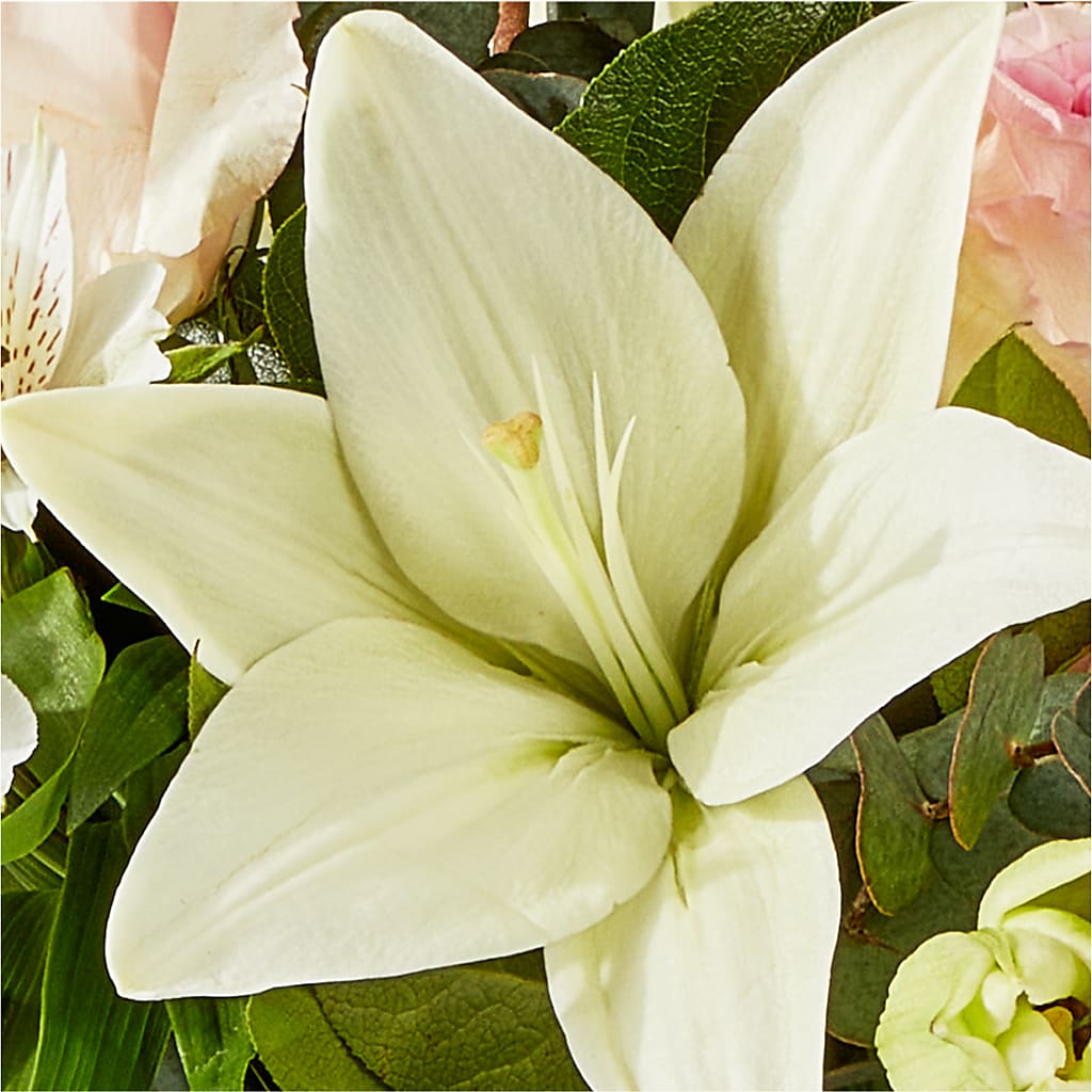 Ballet Slippers Bouquet – LETITTE'S FLOWERS & GIFTS, Beaumont TX
