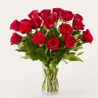 The One Red Rose Bouquet – LETITTE'S FLOWERS & GIFTS, Beaumont TX