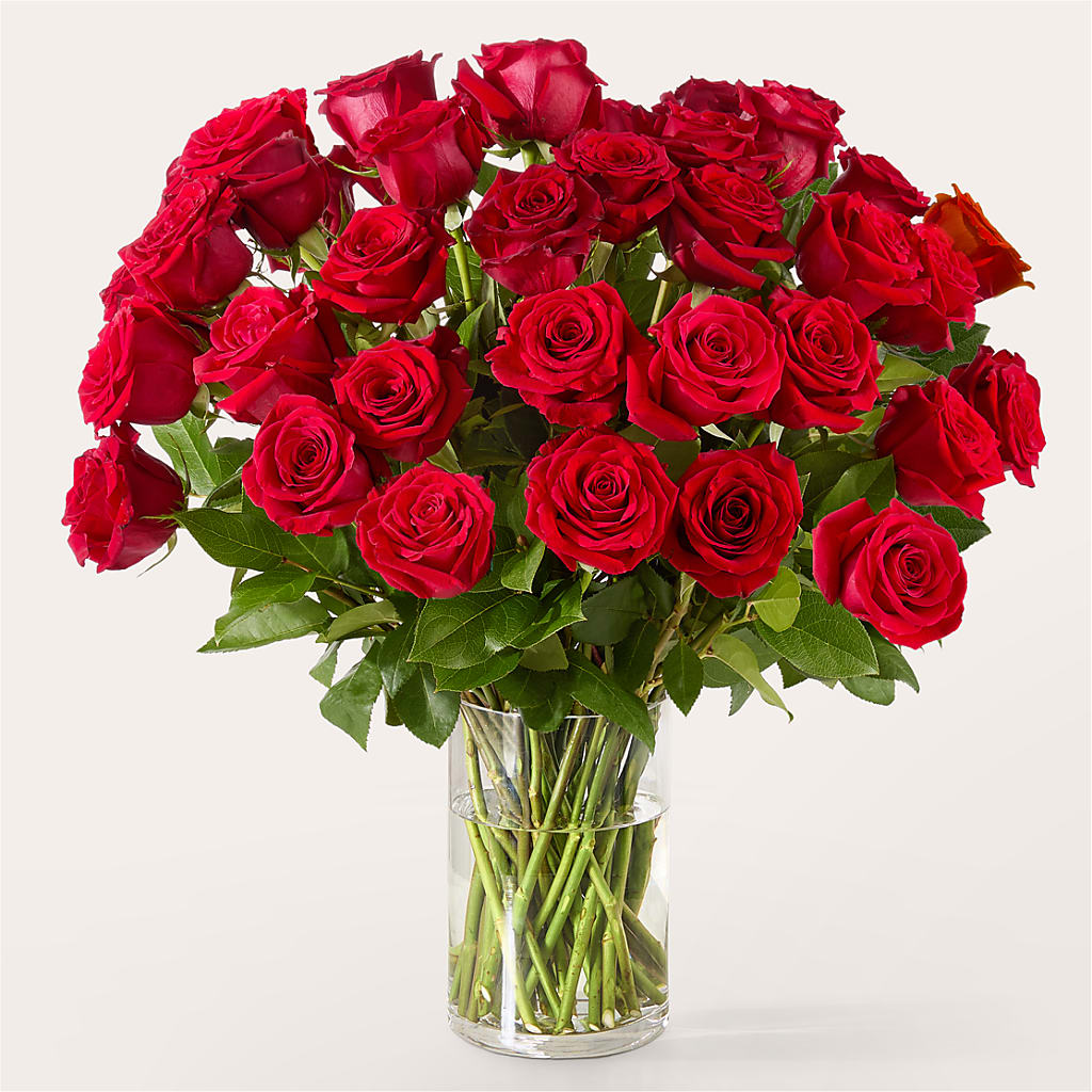 The One Red Rose Bouquet – LETITTE'S FLOWERS & GIFTS, Beaumont TX