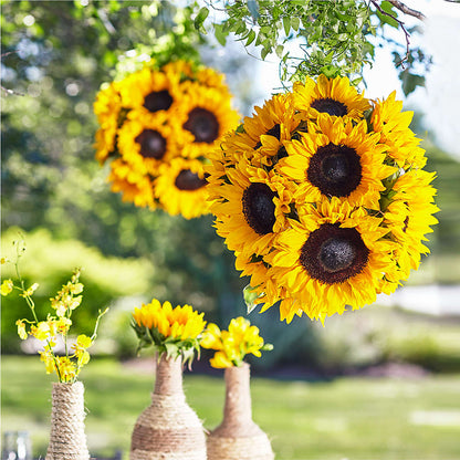 Sublime Garden Hanging Arrangement – LETITTE'S FLOWERS & GIFTS, Beaumont TX