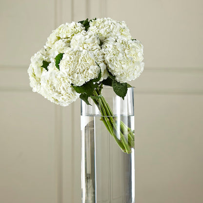 White Hydrangea Hand-Tied Bouquet – LETITTE'S FLOWERS & GIFTS, Beaumont TX
