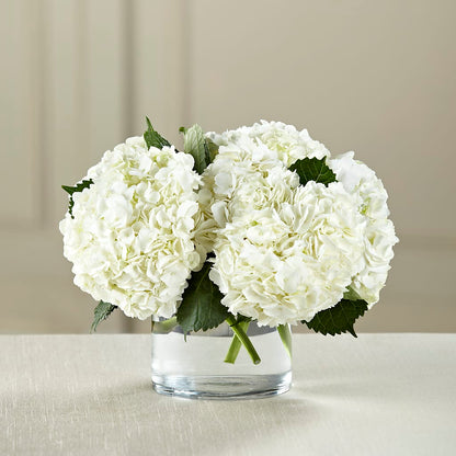 White Hydrangea Bouquet – LETITTE'S FLOWERS & GIFTS, Beaumont TX