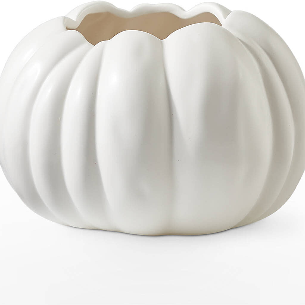 Pumpkin to Talk About Bouquet – LETITTE'S FLOWERS & GIFTS, Beaumont TX