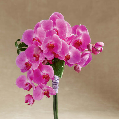Glorious Bouquet – LETITTE'S FLOWERS & GIFTS, Beaumont TX